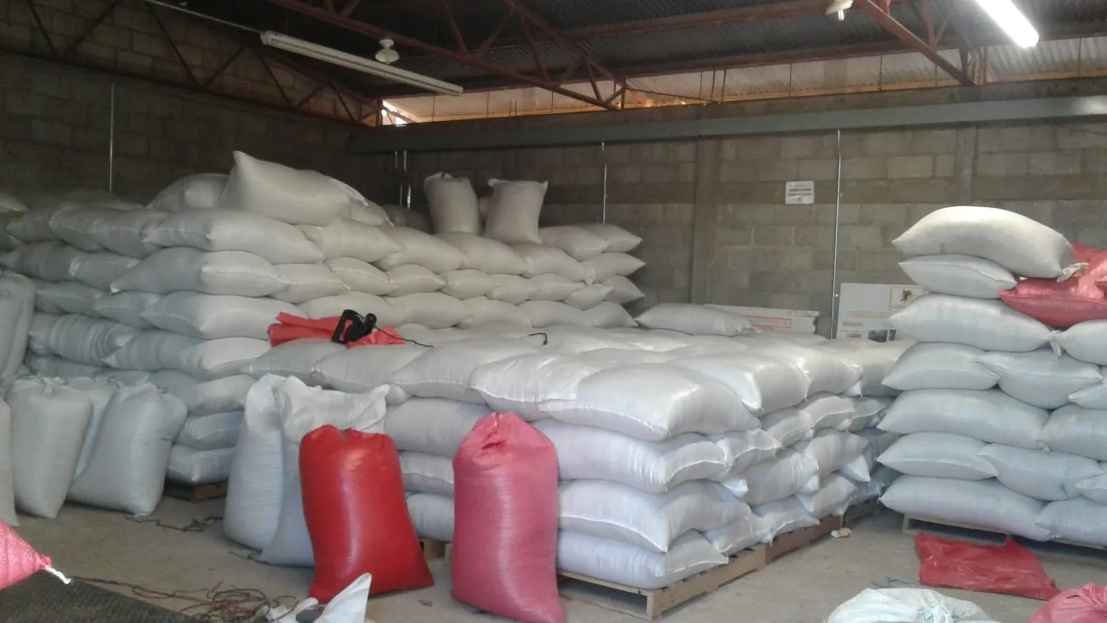 Café Verde en Grano (Sacos de 69kg)